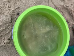 -碧海银沙景区