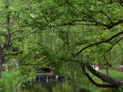 -上海共青森林公园