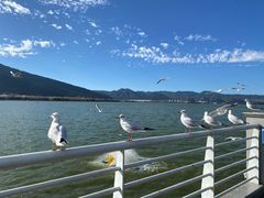 -海埂大坝