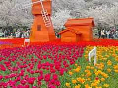-苏州上方山国家森林公园