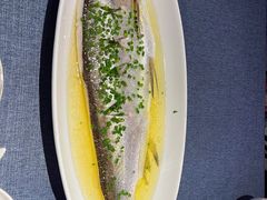 鸡汁大白水鱼-钱塘秋荷(开鲁路店)