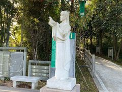 -广州市流溪河国家森林公园