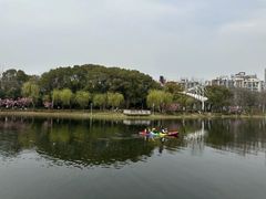 -新江湾城公园