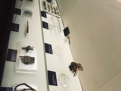-巴音郭楞蒙古自治州博物馆