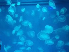 -厦门海底世界