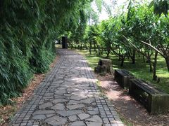 -贵阳市花溪国家城市湿地公园