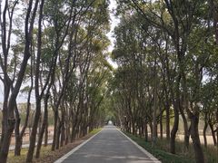 -同里国家湿地公园