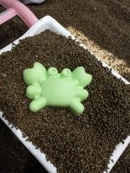 -绿野星空儿童乐园
