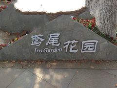 -圩墩遗址公园