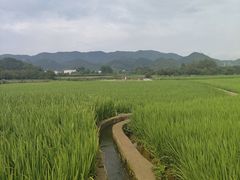 -万峰林风景区