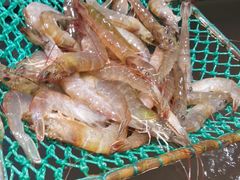 -盒马鲜生(莱蒙都会店)