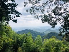 -莫干山风景区