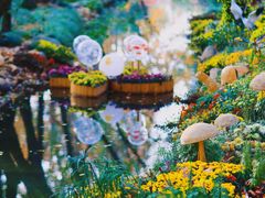 -上海共青森林公园