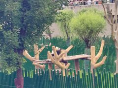 -沈阳森林动物园