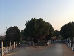 -武汉园博园(武汉自然博物馆)