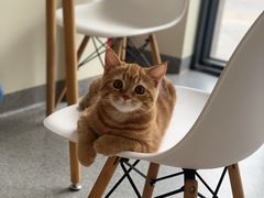 -爱诺耐芙动物医院(万博店)