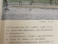 -三星堆博物馆