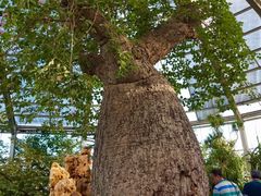 -南通洲际绿博园