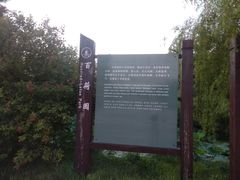 -日照海滨国家森林公园