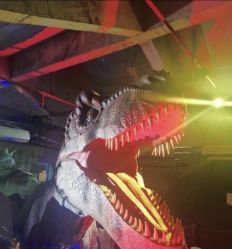 -恐龙探索乐园(磁器口店)