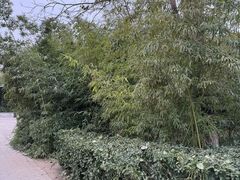 -丰台科技园生态主题公园