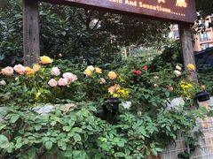 门面-宝翠花园餐厅(沙湖店)