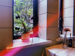 -红房子西菜馆(淮海中路店)