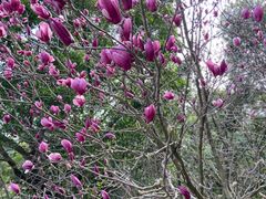 -广州市流溪河国家森林公园