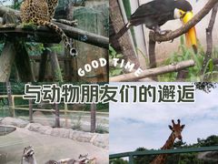 -沈阳森林动物园