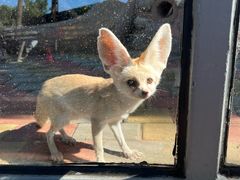 -西霞口神雕山野生动物世界