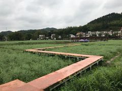 -红山村