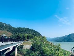 -羚羊峡古栈道森林公园