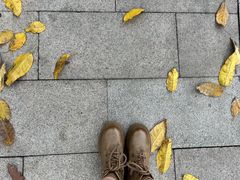 -文华公园(禅城区)