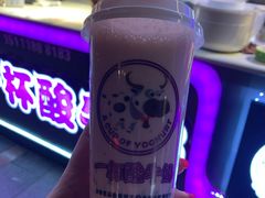 -一只酸奶牛(八一路店)