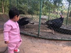 -大连铭湖国际观光牧场