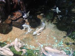 -太平洋海底世界