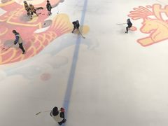 -TheRink大零溜冰场(IFS国金中心店)