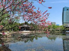 -无锡蠡湖国家湿地公园-蠡园