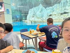 -帝企鹅自助餐厅•儿童岛•真企鹅(长隆企鹅酒店)