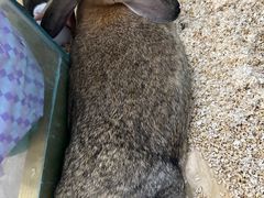 -昆明大悦城未来动物城(螺蛳湾中心店)