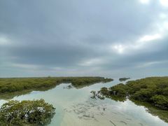 -北海金海湾红树林生态旅游区