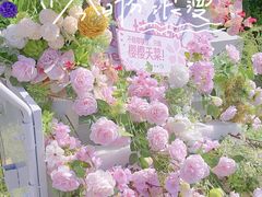 -顾村公园