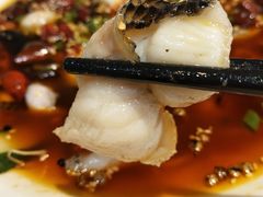 -喜上喜鸡煲翅(吉大店)