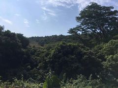 -红花山公园