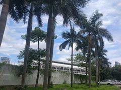 -蓝天射箭馆·专业射箭运动(诚丰广场店)