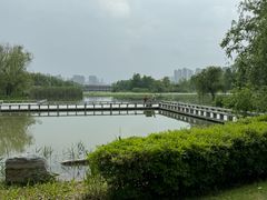 -洋湖国家湿地公园