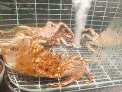 -浩运·海鲜青岛菜·海胆水饺(石老人店)
