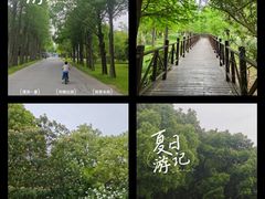 -贡湖湾湿地公园