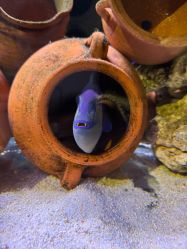 -Zoolung Zoolung动物主题公园(海信广场店)