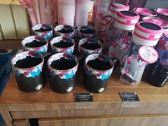 -星巴克臻选(北京富力家园店)